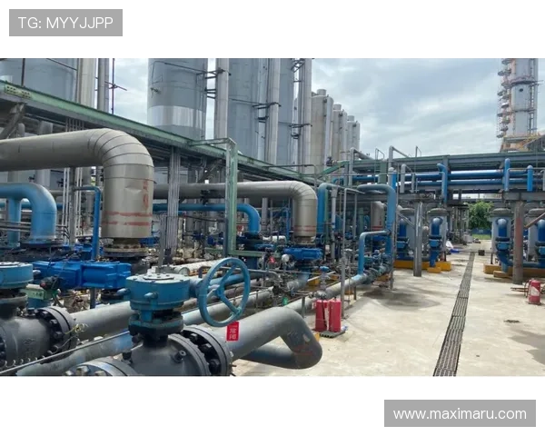 凯发集团最新消息新闻：公司在区域市场的最新布局与扩展计划