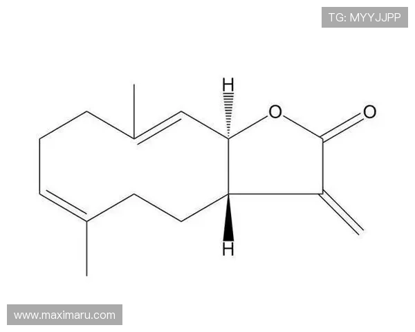 在k8凯发官方网站上如何进行游戏账号的维护与安全管理 在k8凯发官方网站上如何进行游戏账号的维护与安全管理
